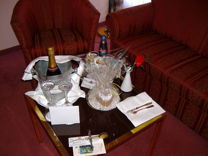 Parkhotel Adler Hinterzarten (8) 